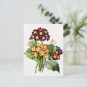 Carte Postale Illustration botanique vintage (Debout devant)