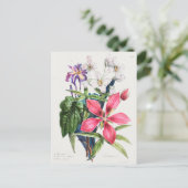 Carte Postale Illustration botanique vintage (Debout devant)