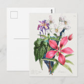 Carte Postale Illustration botanique vintage (Devant / Derrière)