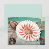 Carte Postale Illustration botanique vintage (Devant / Derrière)
