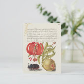 Carte Postale Illustration botanique vintage (Debout devant)