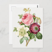 Carte Postale Illustration botanique vintage (Devant / Derrière)