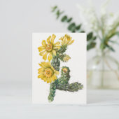 Carte Postale Illustration botanique vintage (Debout devant)