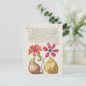 Carte Postale Illustration botanique vintage (Debout devant)