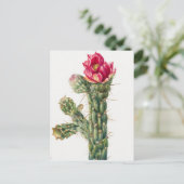 Carte Postale Illustration botanique vintage (Debout devant)