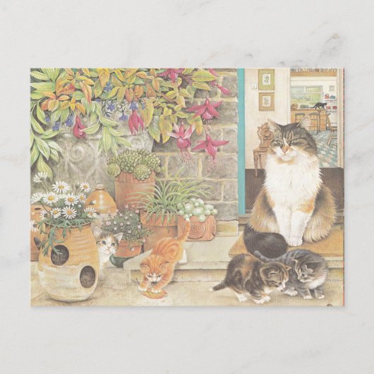 Carte postale Illustration Cat (Devant)