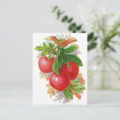 Carte Postale Illustration Cerises vintages (Debout devant)