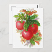 Carte Postale Illustration Cerises vintages (Devant / Derrière)