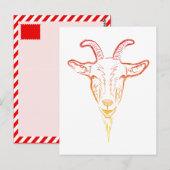 Carte Postale illustration chèvre (Devant / Derrière)