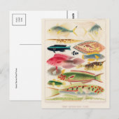 Carte postale Illustration classique (Devant / Derrière)