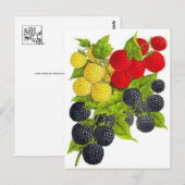 Carte postale Illustration classique (Devant / Derrière)