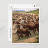 Carte postale Illustration classique (Devant / Derrière)