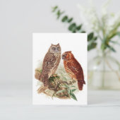 Carte postale Illustration classique (Debout devant)