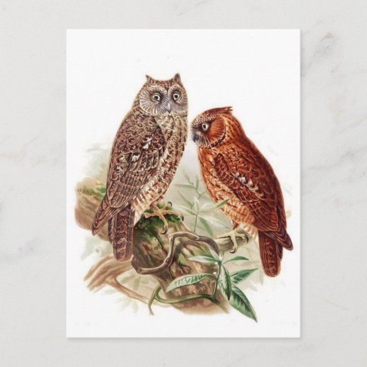 Carte postale Illustration classique (Devant)