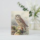 Carte postale Illustration classique (Debout devant)