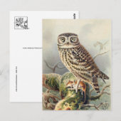 Carte postale Illustration classique (Devant / Derrière)