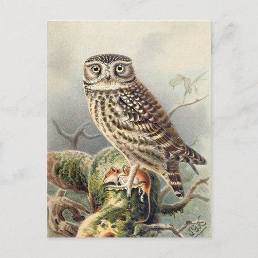 Carte postale Illustration classique (Devant)