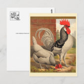 Carte postale Illustration classique (Devant / Derrière)