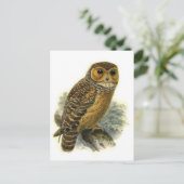 Carte postale Illustration classique (Debout devant)