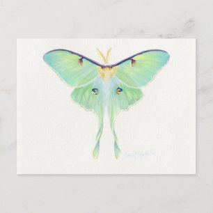 Carte postale Illustration classique