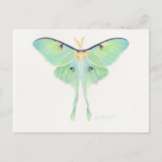 Carte postale Illustration classique (Devant)