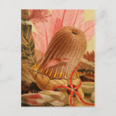 Carte postale Illustration classique (Devant)