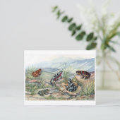 Carte postale Illustration classique (Debout devant)