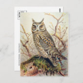 Carte postale Illustration classique (Devant / Derrière)