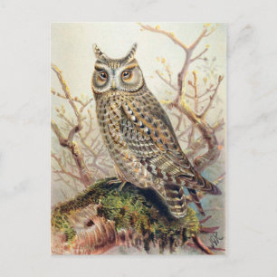 Carte postale Illustration classique