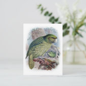 Carte postale Illustration classique (Debout devant)