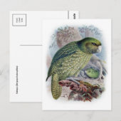 Carte postale Illustration classique (Devant / Derrière)