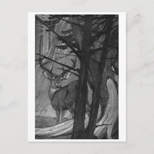 Carte postale Illustration classique (Devant)