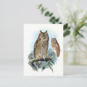 Carte postale Illustration classique (Debout devant)