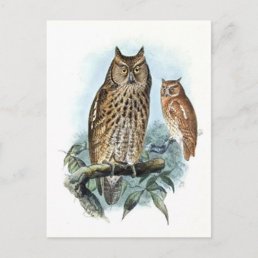 Carte postale Illustration classique (Devant)