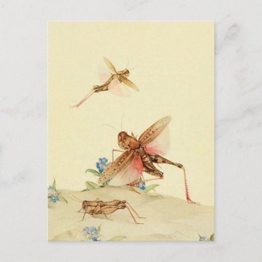 Carte postale Illustration classique (Devant)