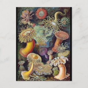 Carte postale Illustration classique