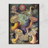 Carte postale Illustration classique (Devant)