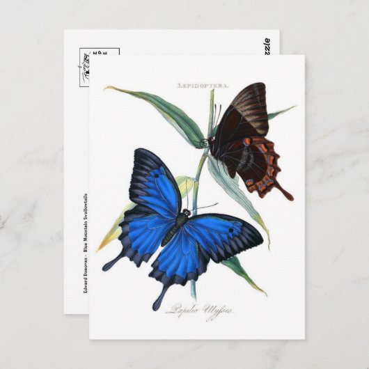 Carte postale Illustration classique (Devant / Derrière)