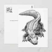 Carte postale Illustration classique (Devant / Derrière)