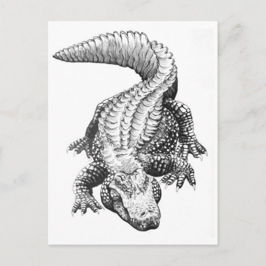 Carte postale Illustration classique (Devant)