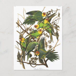 Carte postale Illustration classique