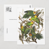 Carte postale Illustration classique (Devant / Derrière)