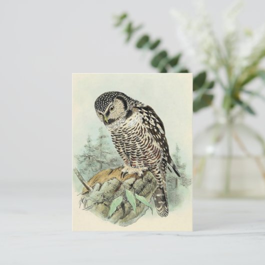 Carte postale Illustration classique (Debout devant)