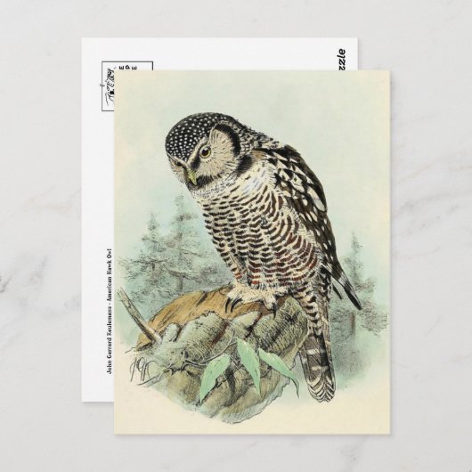 Carte postale Illustration classique (Devant / Derrière)