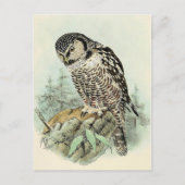 Carte postale Illustration classique (Devant)