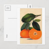 Carte postale Illustration classique (Devant / Derrière)