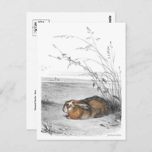 Carte postale Illustration classique (Devant / Derrière)