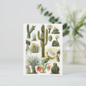 Carte postale Illustration classique (Debout devant)