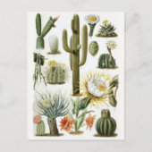 Carte postale Illustration classique (Devant)