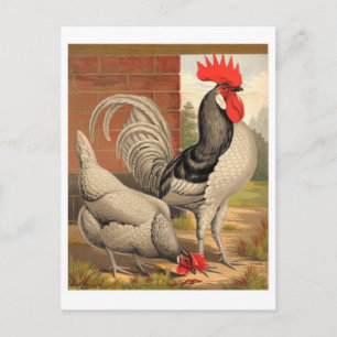 Carte postale Illustration classique